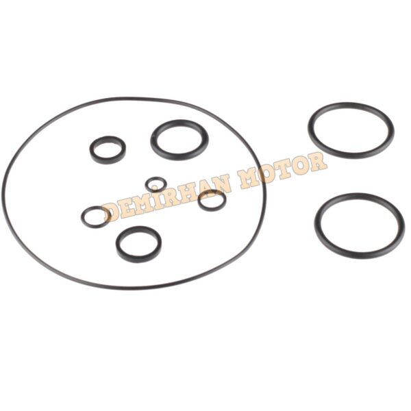 Cup 100 Oring Seti